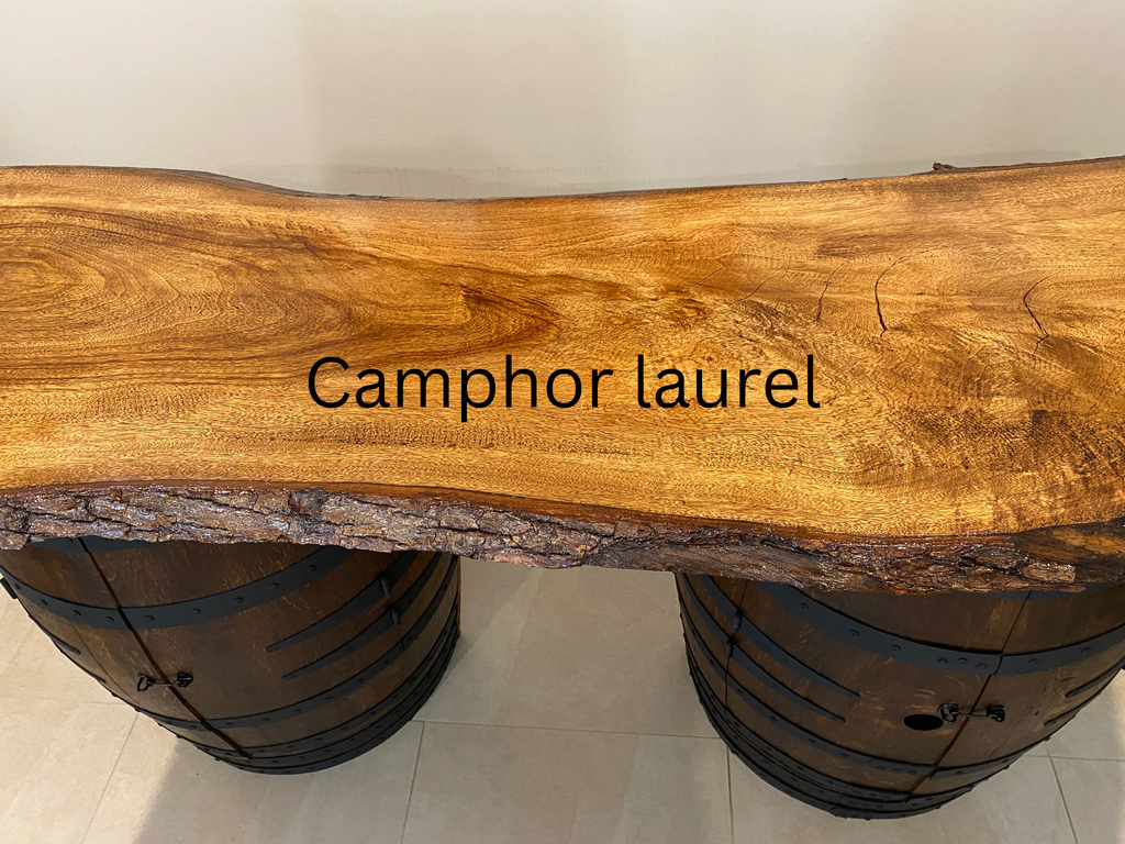Wooden slab with 'Camphor laurel' text on a white background